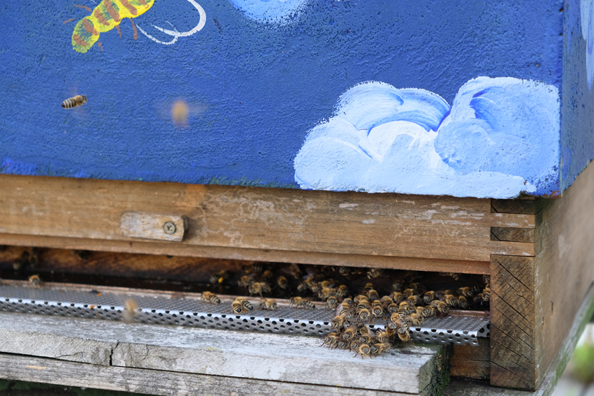 Bemalter Bienenkorb mit einfliegenden Bienen
