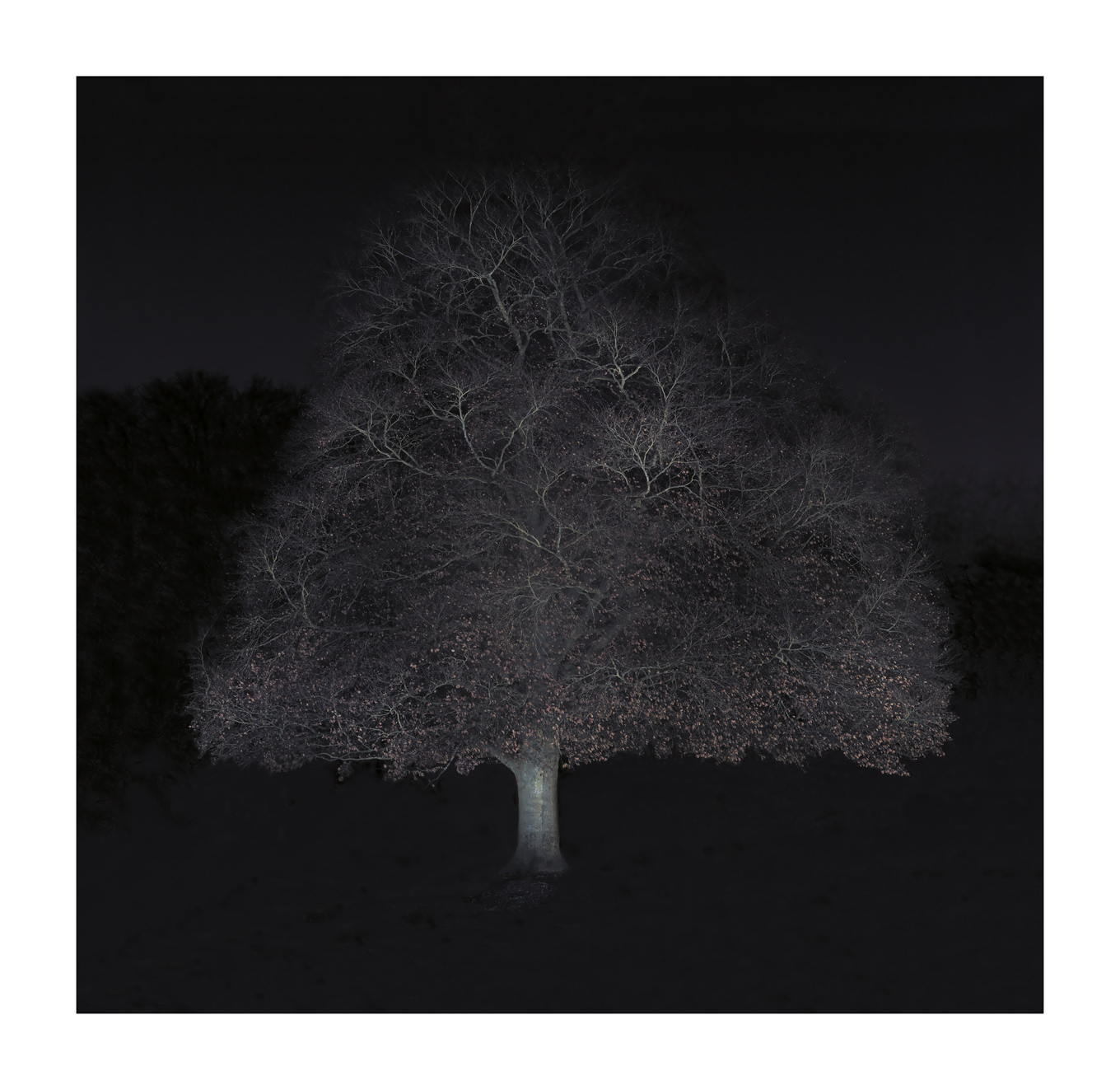 Fotografie Baum im Winter von Ralf Peters 