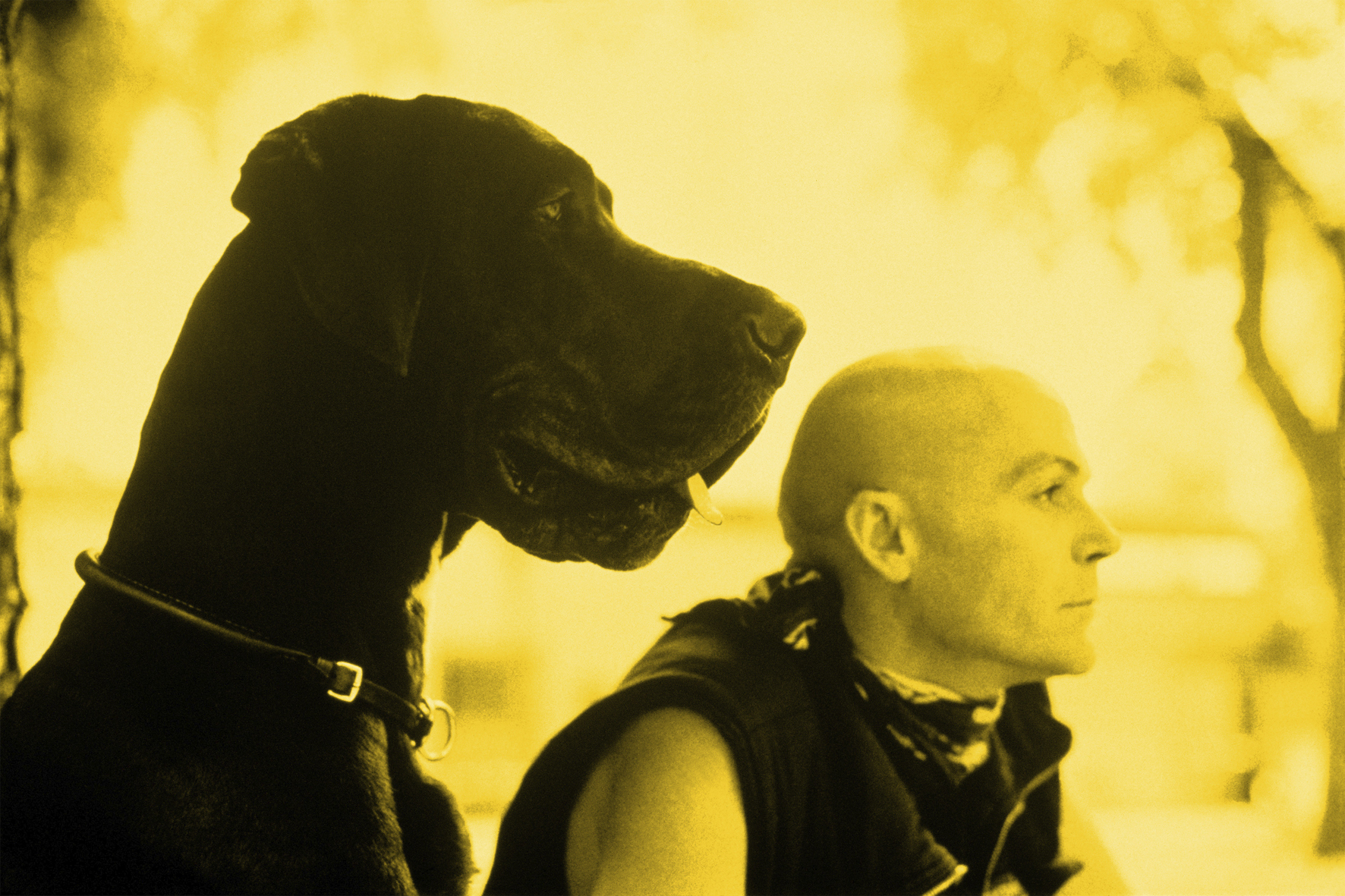 FLATZ: Zwei Champions oder Die Zukunft sieht rosig aus. FLATZ und der Hund Hitler, beide schauen nach rechts. © Atelier FLATZ