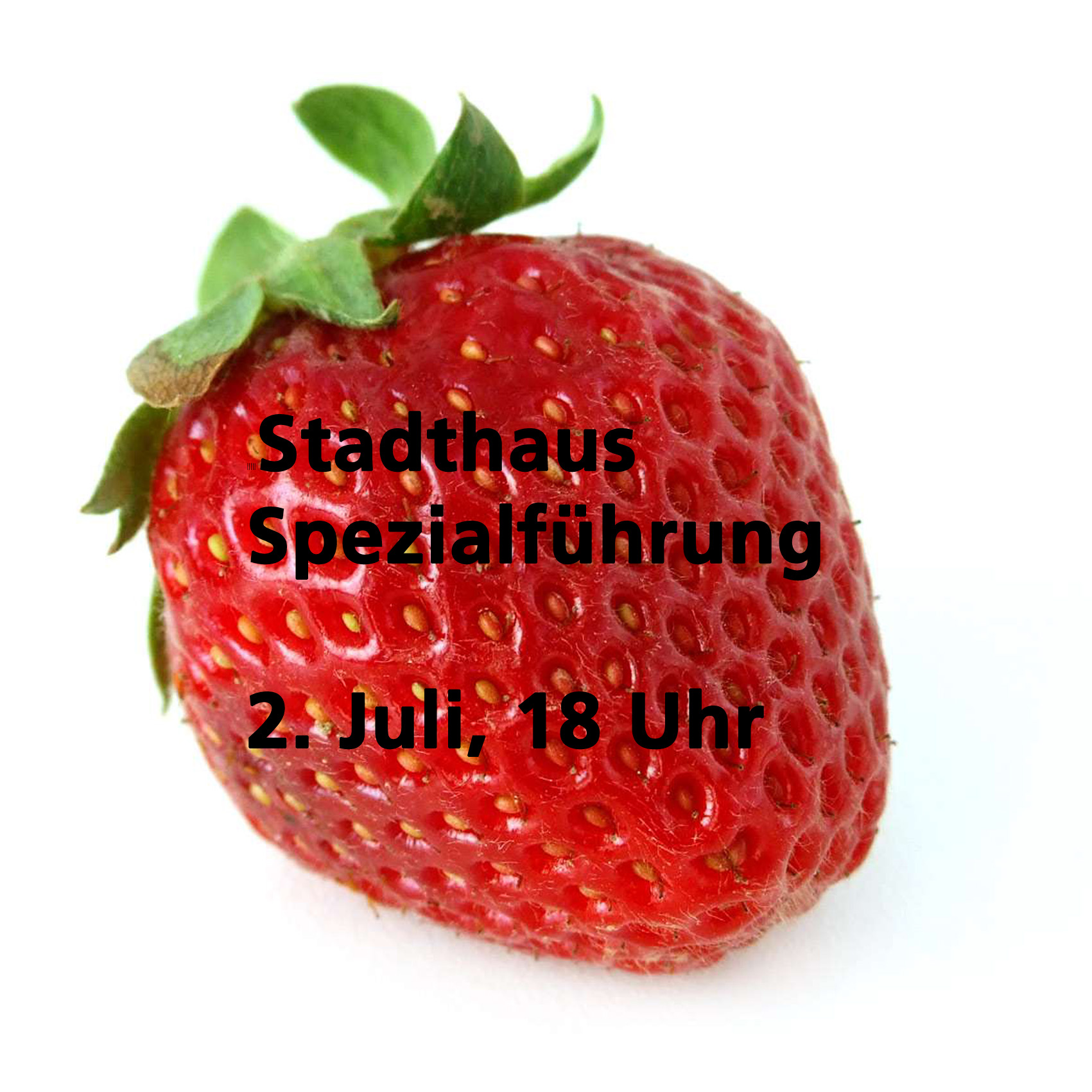 Stadthaus-Spezialführung mit Erdbeerbowle 