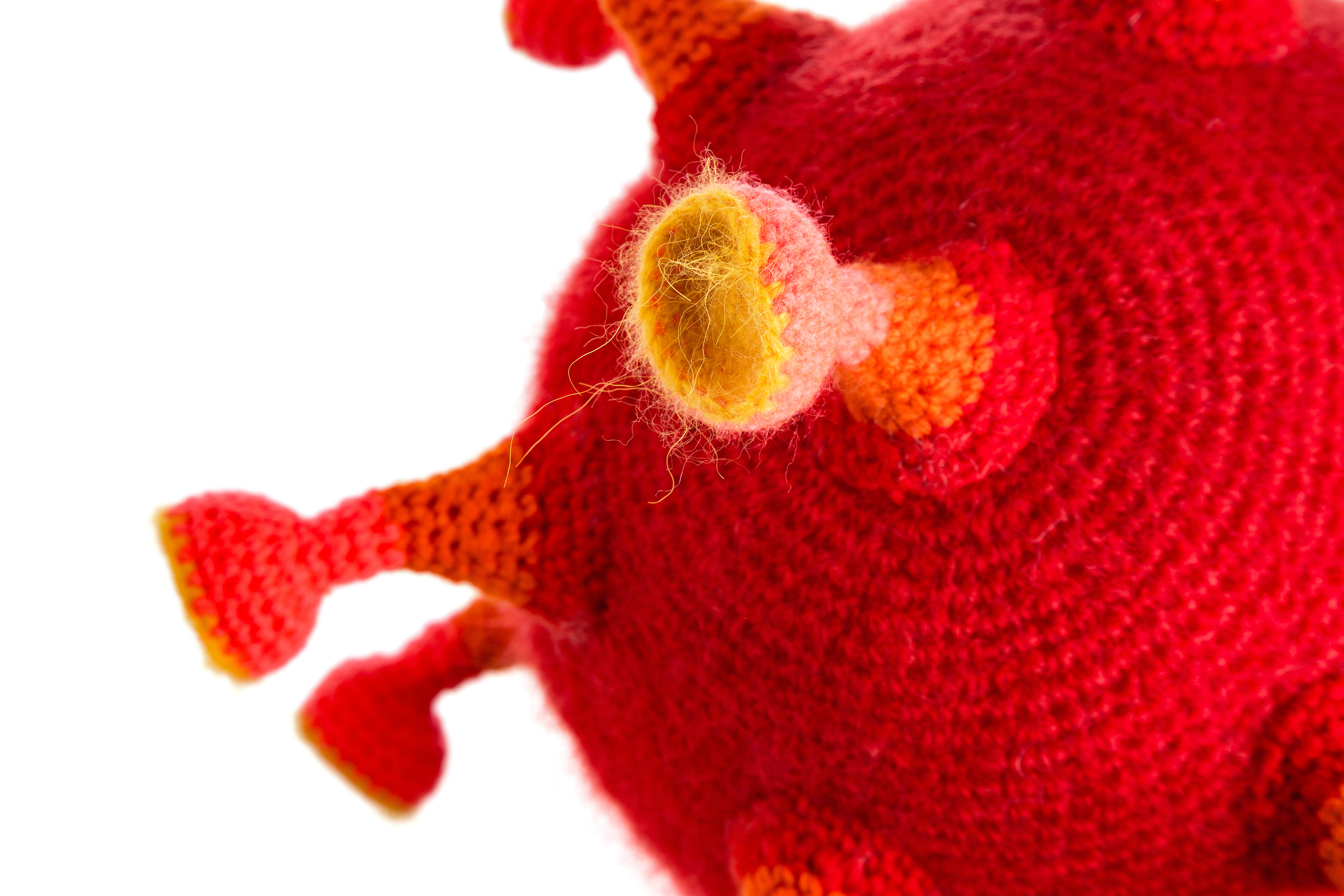 Das Foto zeigt einen orangefarbenen, gehäkelten Coronavirus