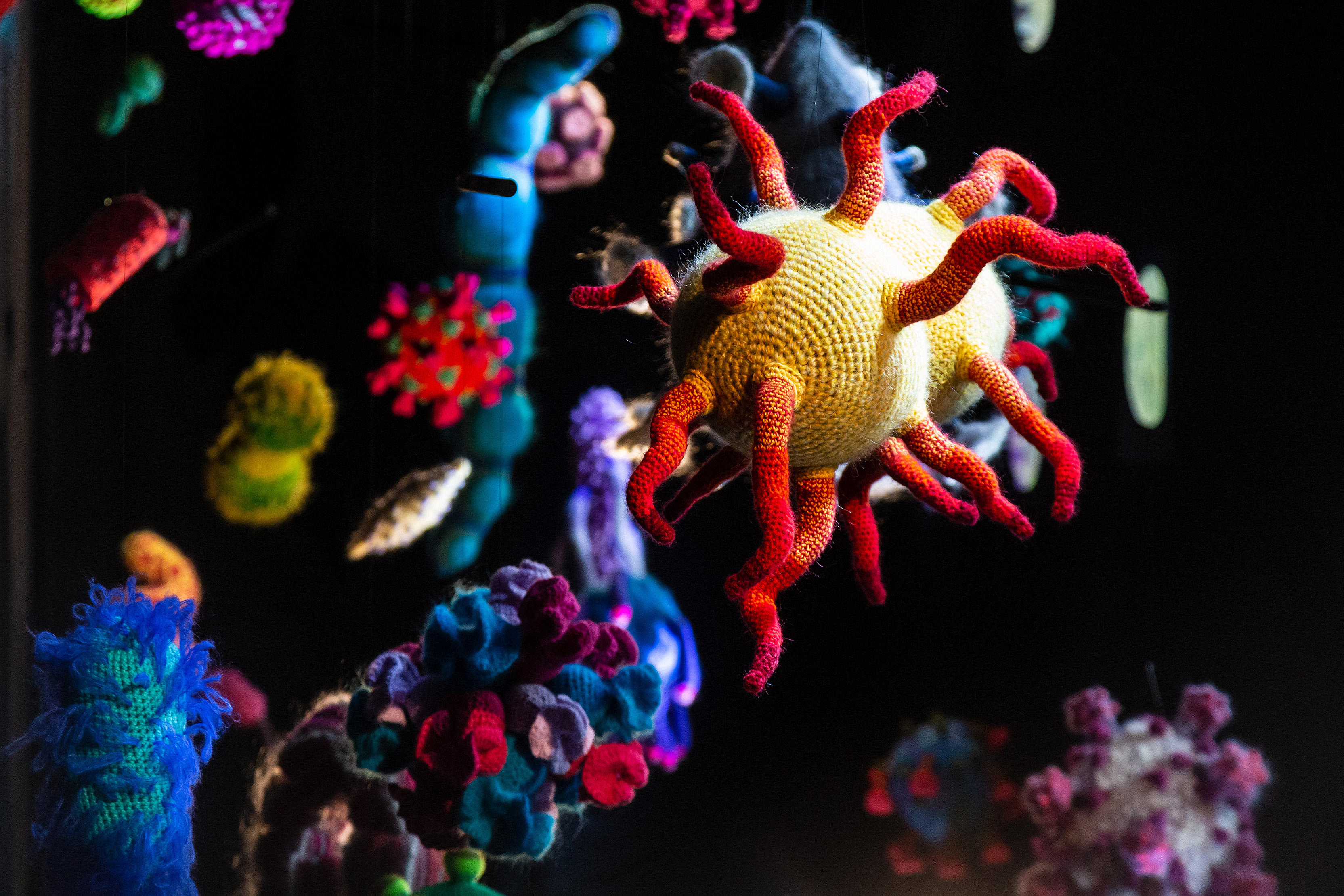 Das Foto zeigt Viren und Bakterien als bunte, gehäkelte, textile Kunstobjekte. 