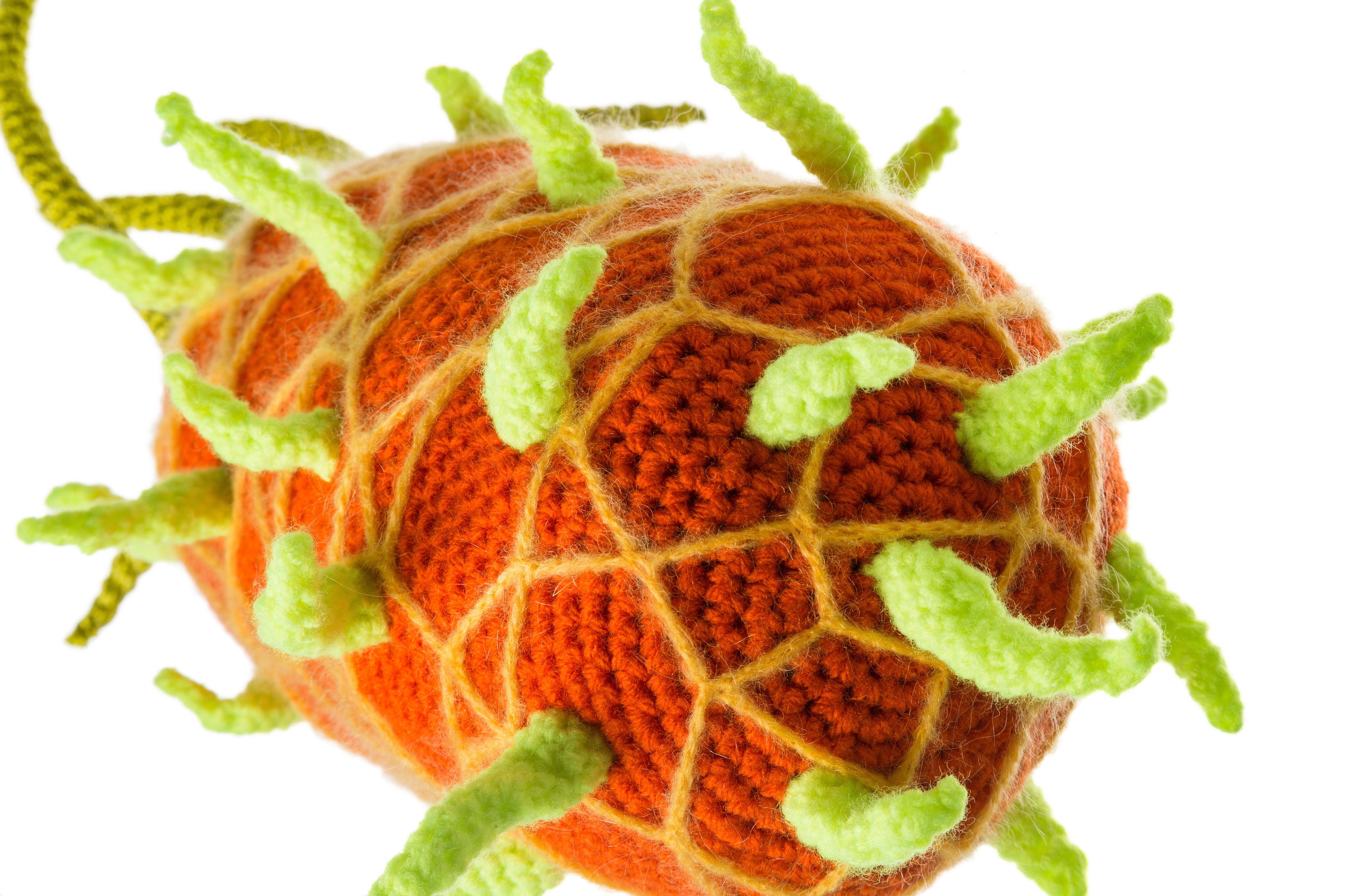 Das Foto zeigt ein gehäkeltes Pestvirus in den Farben orange-gelb-grün