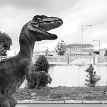 Dino in Neu-Ulm